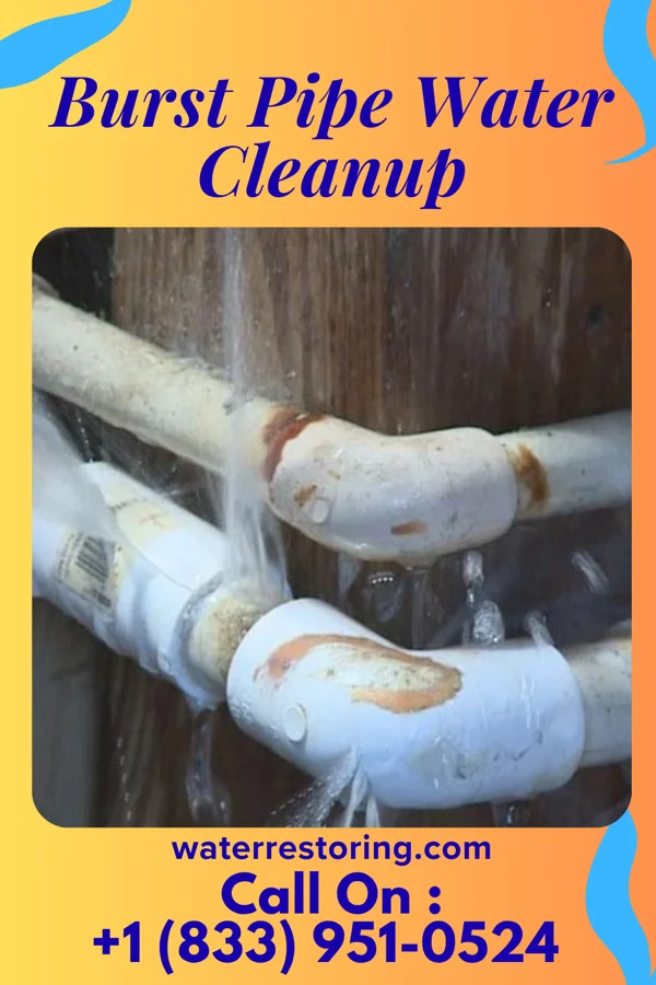 Burst Pipe Water Cleanup in Roche Harbor, WA