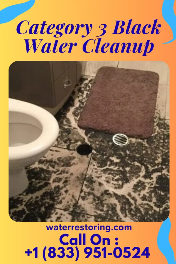 Category 3 Black Water Cleanup in Roche Harbor, WA